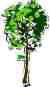 arbre