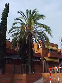 escola