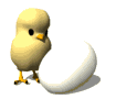chic_with_egg_md_wht.gif (4142 bytes)
