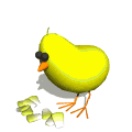 chick_eating_chicken_feed_md_wht.gif (10218 bytes)
