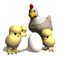 chicken_with_chics_active_md_wht.gif (19202 bytes)