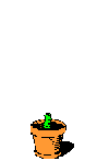 newplant.gif (6304 bytes)