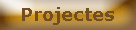 Projectes