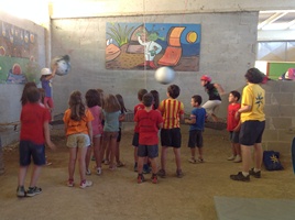 Activitats