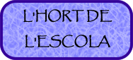 Blog sobre l'hort de la nostra escola