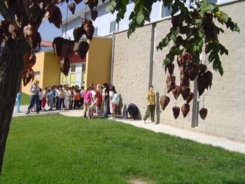 entrada