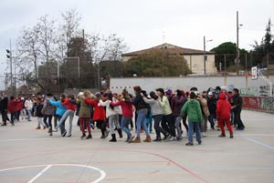 Celebrem el carnaval