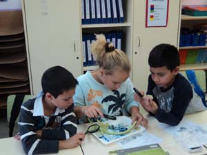 Observem la fisiologia dels vegetals Observem la fisiologia dels vegetals