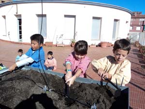 Plantem i sembrem Plantem i sembrem