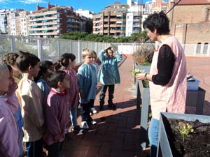 Plantem i sembrem Plantem i sembrem