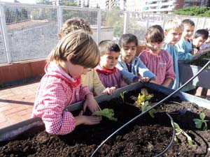 Plantem i sembrem Plantem i sembrem