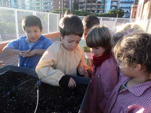 Plantem i sembrem Plantem i sembrem