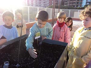 Plantem i sembrem Plantem i sembrem