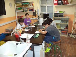 Estudiem les infusions Estudiem les infusions