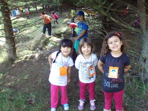 Descobrim el bosc a la tardor