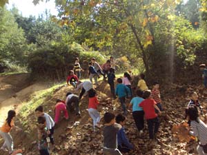 Descobrim el bosc a la tardor