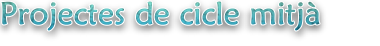 Projectes de cicle mitjà