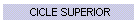 CICLE SUPERIOR