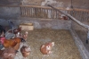 100_3699.jpg
