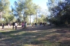 100_3748.jpg