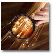 Proves de Maduresa 1.998