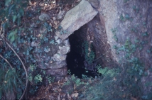 font de Coll Dat