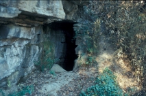 font de can Padre