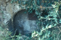 font de l'Àlber