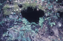 font de la Rovira