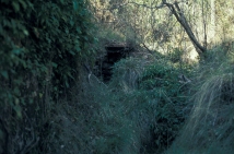 font del Boines