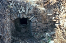 font del Ricardo