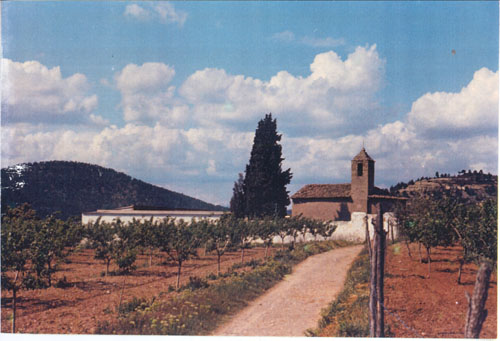 cementiri_1