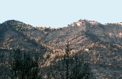 Sant Jaume de V.