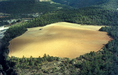 Camp de Roviralta
