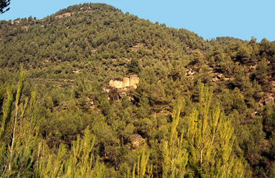 Les tines de la Lluca