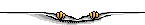 ff