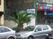 pau 2007 057