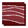 Secretariat de l'Escola Cristinana de Catalunya