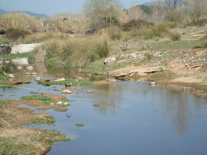 riuBesos36.jpg