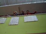 DijousLlarder 08.jpg