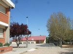 escola 42.jpg