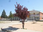 escola 46.jpg