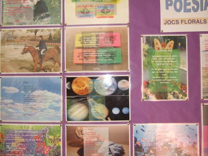 escola 18.jpg