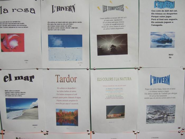 escola 22.jpg