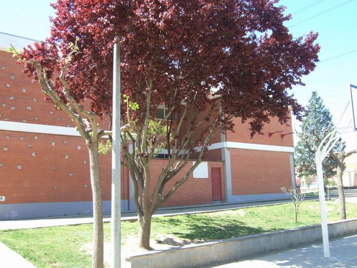 escola 44.jpg