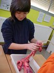 naturals-07.JPG