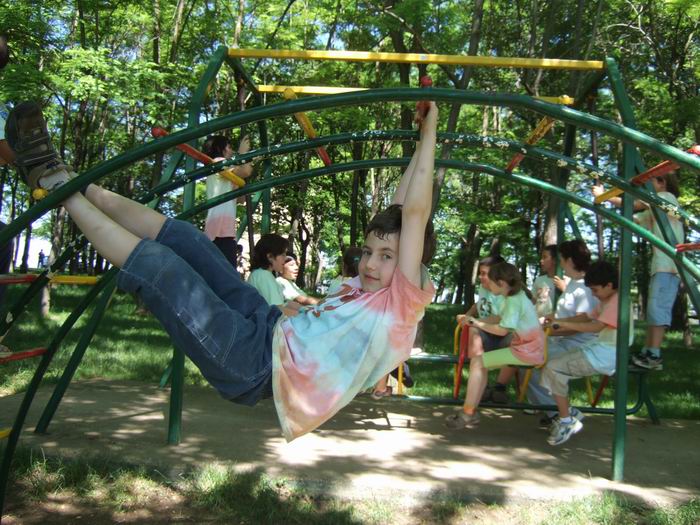fi curs 066.jpg