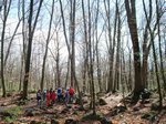 olot CS 044.jpg