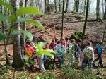olot CS 045.jpg