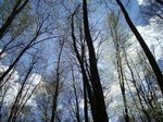 olot CS 047.jpg